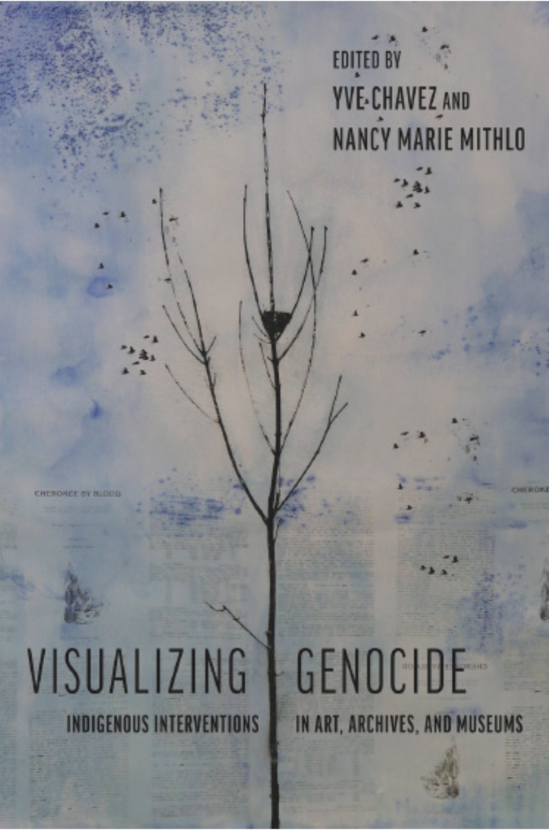 Visualizing Genocide book cover